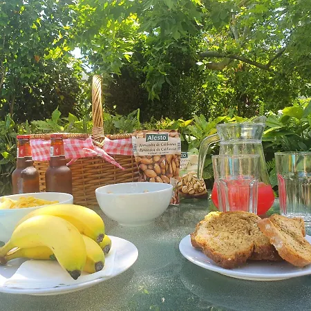 Quinta Do Sorilhal * Vieira do Minho