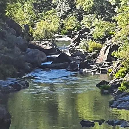 Quinta Do Sorilhal Vieira do Minho