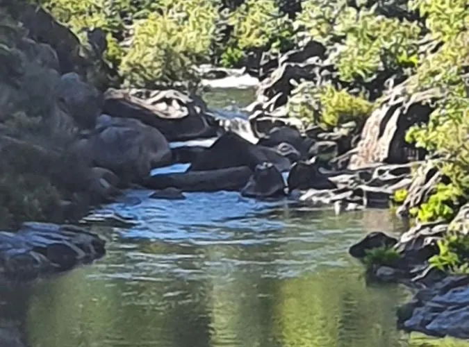 Quinta Do Sorilhal Vieira do Minho