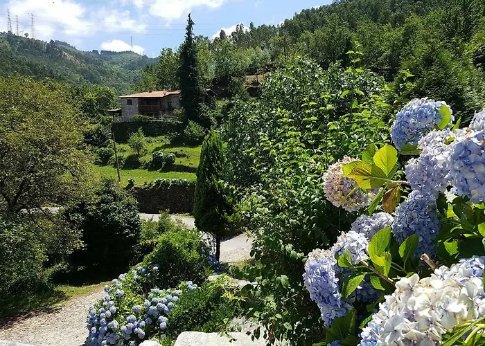 Quinta Do Sorilhal Affittacamere